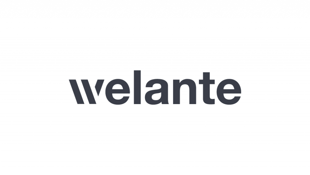 The image shows the word "welante" in bold, dark gray lowercase letters on a light gray background. The stylized "w" with a diagonal cut gives it a unique look reminiscent of modern educational brands such as MaxBrain.